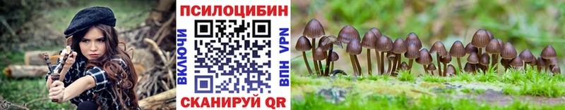 Галлюциногенные грибы Psilocybine cubensis  Алдан 